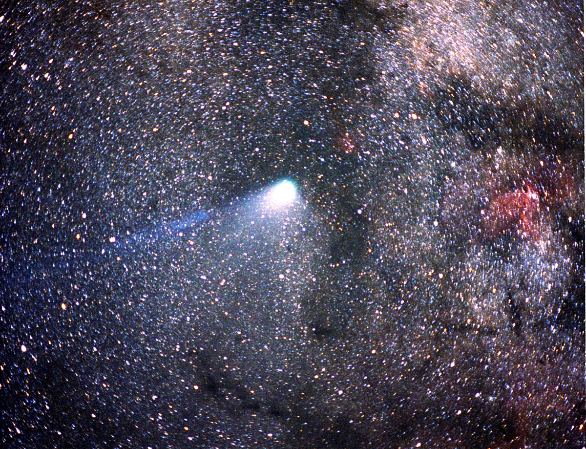 Halley's Comet The Society