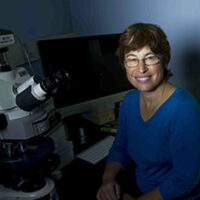 Lynn rothschild portrait