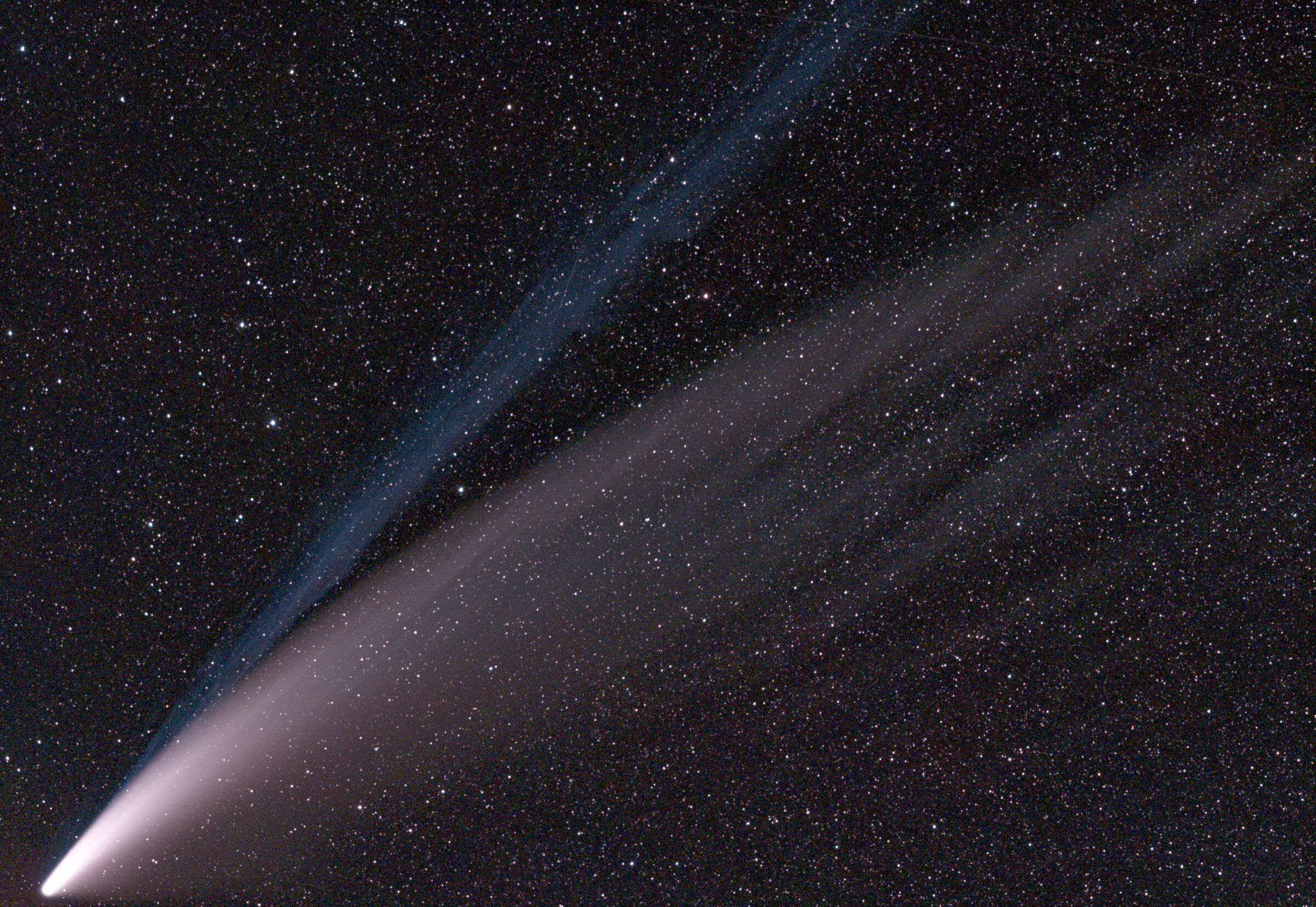 Comet NEOWISE aligned to the stars The Society