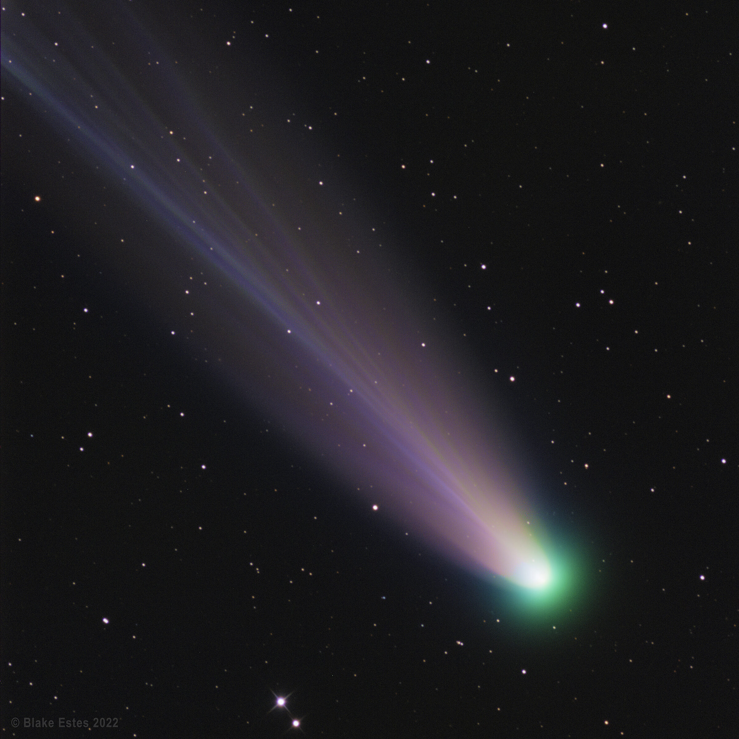 Comet Leonard imaged from Australia The Society