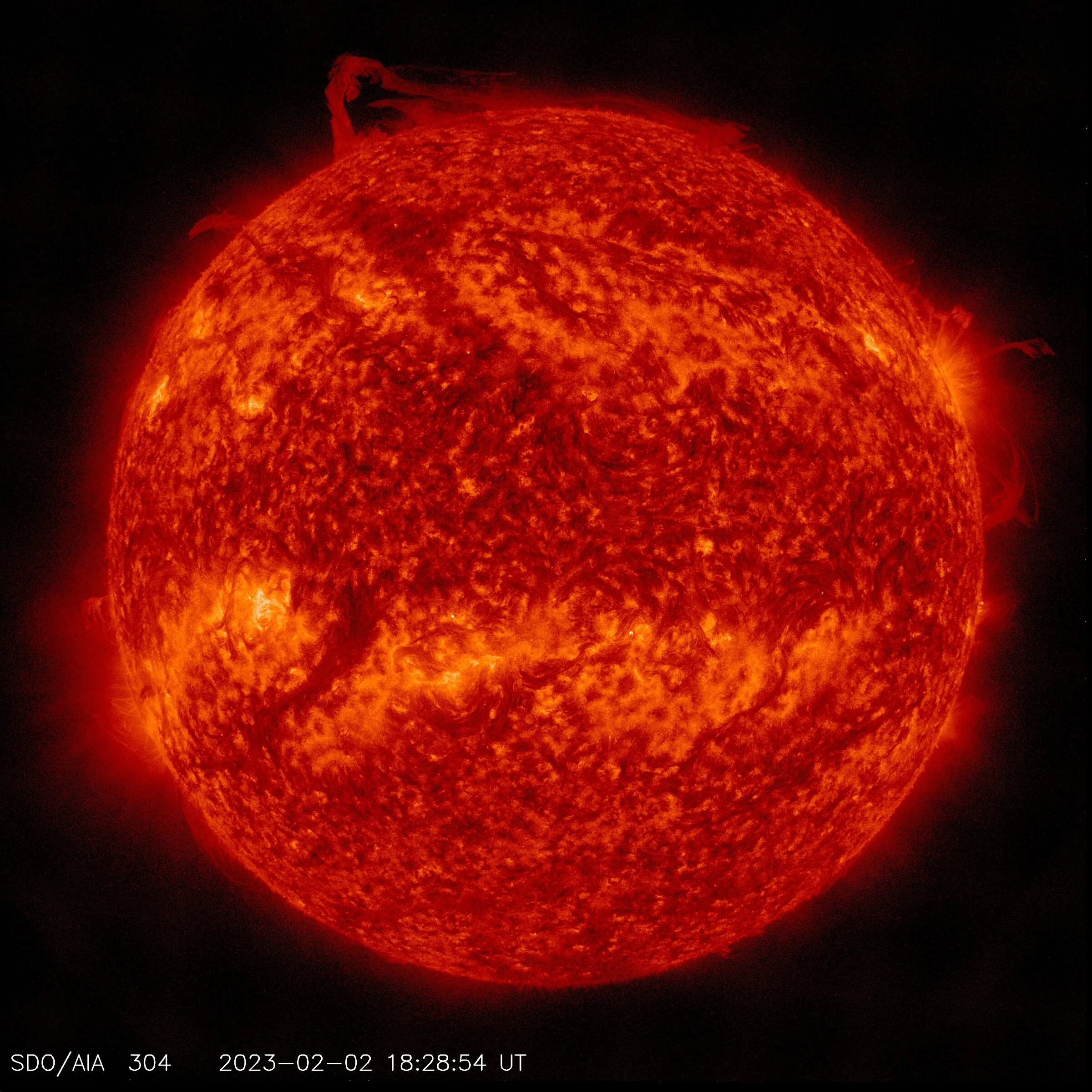 Solar polar crown filament