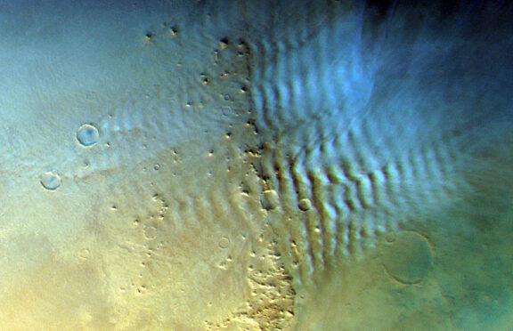 Lee waves on Mars | The Planetary Society