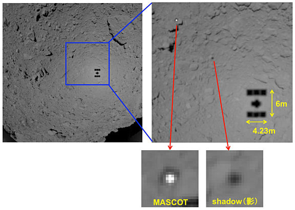 MASCOT and Hayabusa2's shadows on Ryugu