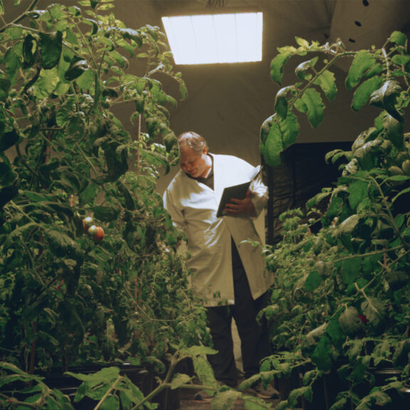 Palmer with plants