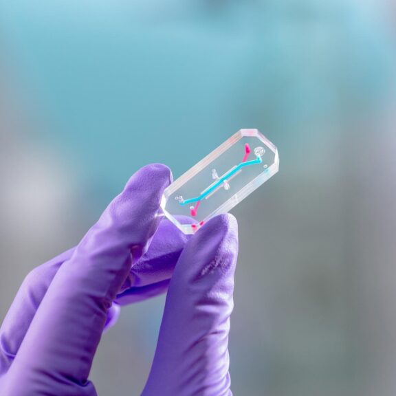 Emu chip glove dye l2