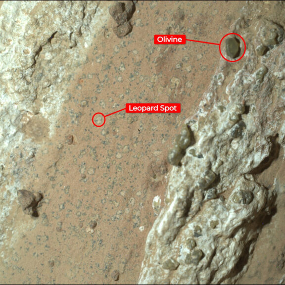 Olivine leopard spot mars perseverance