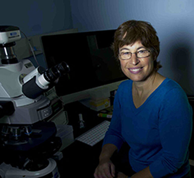 Lynn Rothschild portrait The Society