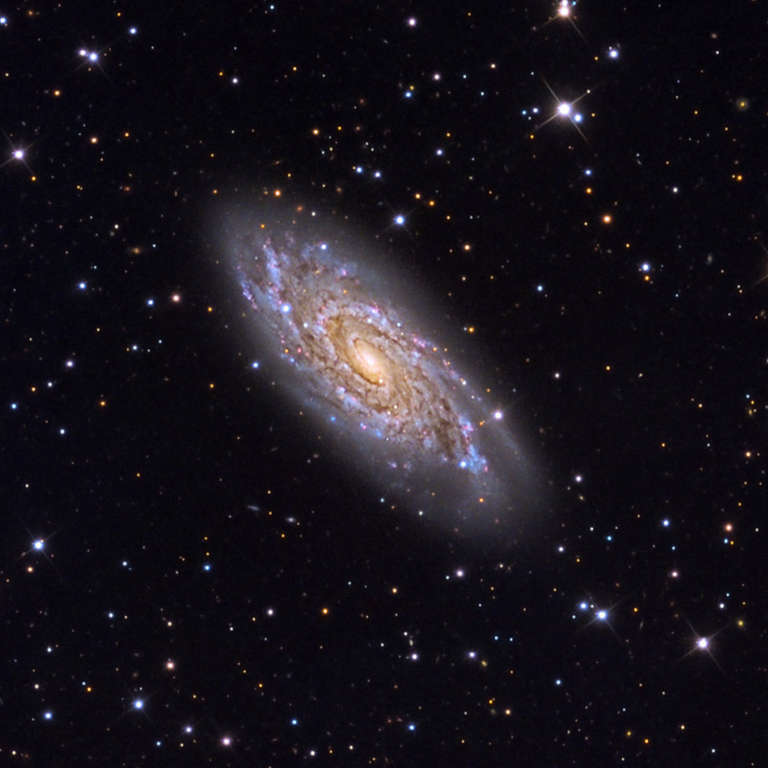 Cartwheel Galaxy | The Planetary Society